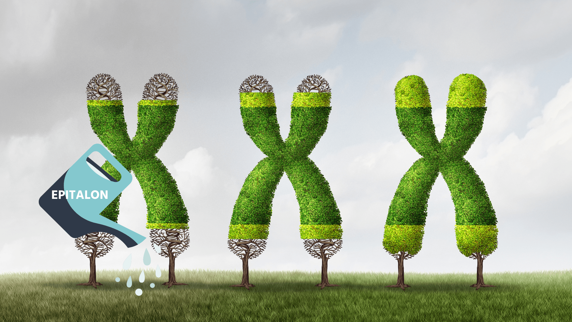 Epitalon: The Longevity Peptide